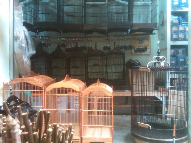 jatimaulana168_'s profile picture. next new life