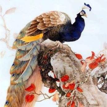 jitendragroup2's profile picture. LIFE ISY