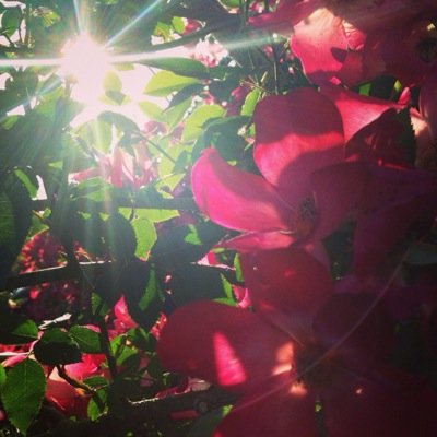 Happinessファンの高校生です！
Happinessファンの方だけでなく、LDHファンの方、フォローしてください✨
無言フォロー大歓迎です！
フォロワーさんがあまりいませんが、仲良くしてください！