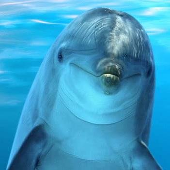 iMakeMemorys's profile picture. I make videos and put them on the internet to entertain you...