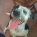 FERNANDO SOLER  - @fernandosolerf1 - Twitter