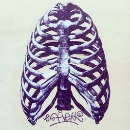 DAManouchk's profile picture. Directrice Artistique