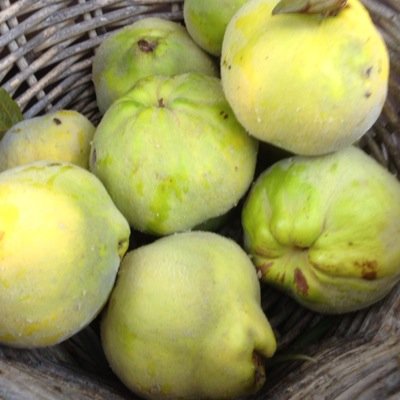 Held on the first Saturday of the month next to Veg Out Community Gardens in St Kilda. Proudly accredited by the Victorian Farmers Market Association (VFMA).