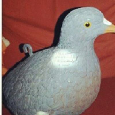 I SUCK AT BIOS