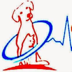 Senior #Pets need Specialized Pet #Healthcare Services. Get diagnosis, prescriptions, #diet and nutritional care
for older pets. #Georgetown #Canada #Guelph.