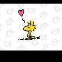 Silvia (@0804Snoopy) Twitter