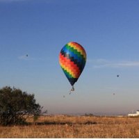 Danie Minnaar (@danieminnaar1) 's Twitter Profile