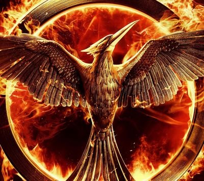 Onofre39J's profile picture. 