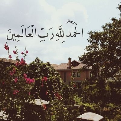 عبله العمري FCIT, Faculty Of Applied Studies FAS,Computer Science,Network