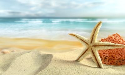 Rim75Rim's profile picture. 