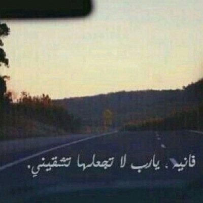 هنا فقط للقراءه