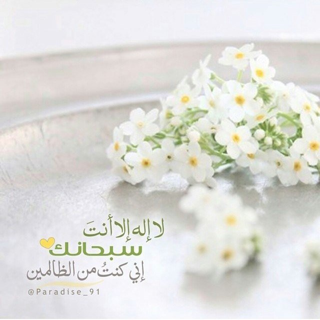 يسعدني الابداع والتميز