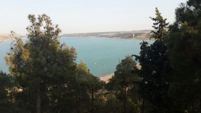 mojo1150's profile picture. 