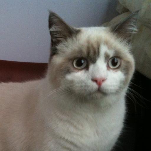 VirtusEducation's profile picture. Passionate about transformational teaching to elevate student learning | Gifted Ed & Special Ed | Creativity & Thinking | Positive Psychology | Leadership |