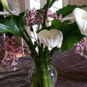 Michele Morales  - @MeMemorales72 - Twitter