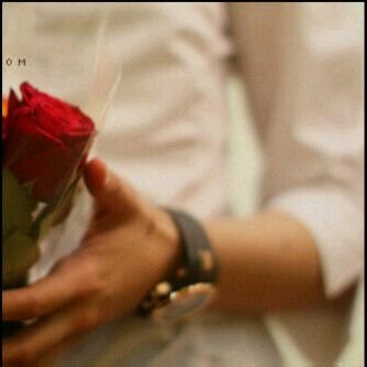 ‏‏‏‏
الصَراحَہُ جَميلہ ، لِكنُ كن صّريحًا مِن البدايَہ ، لا تُجامِل ثمَ ترمي بالصَراحہ كصَدمہ ˇ.                                             العمر : 23
