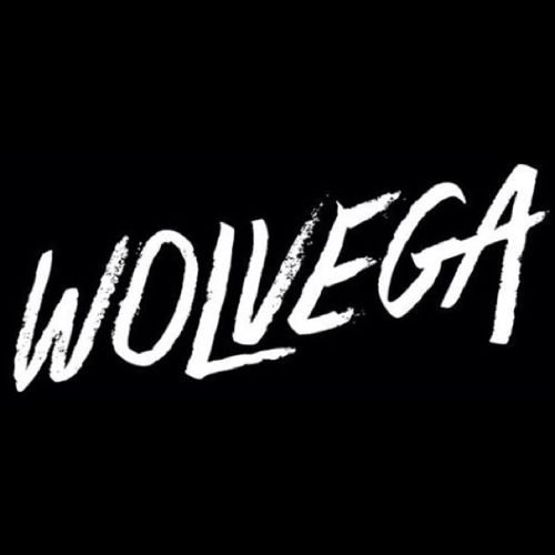 EDM DJ & PRODUCER DUO

Contact:
wolvegamusic@gmail.com