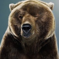 VladimirMON (@volk6688) 's Twitter Profile