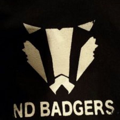 NDBadgers's profile image