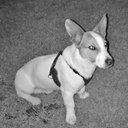 Nathan Bunting - @MusicNathan2014 - Twitter