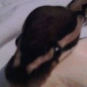 Nathan Tindall - @nathan_tindall - Twitter