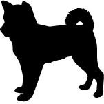 gon_koyasan's profile picture. 『ごんと高野山体験』プロジェクトは、
高野山の案内犬『ごん』をガイド役とし、高野山に代表される伝統宗教の智慧のプログラムを指針として自分自身を見つめなおし、様々な煩いや囚われから解き放たれて、本当に大切で大きないのち価値から、ライフスタイルやワ－クスタイルを見直していこうという取り組みです。