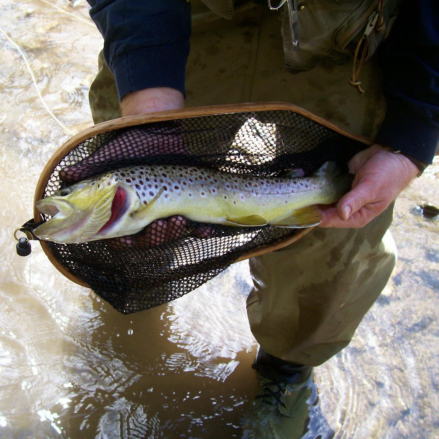 Fly-fishing for trout and occasionally smallmouth bass in Minnesota and (when necessary) Wisconsin. Just fishing. Nothing fancy.