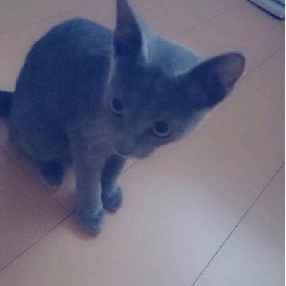redmagic069's profile picture. 
