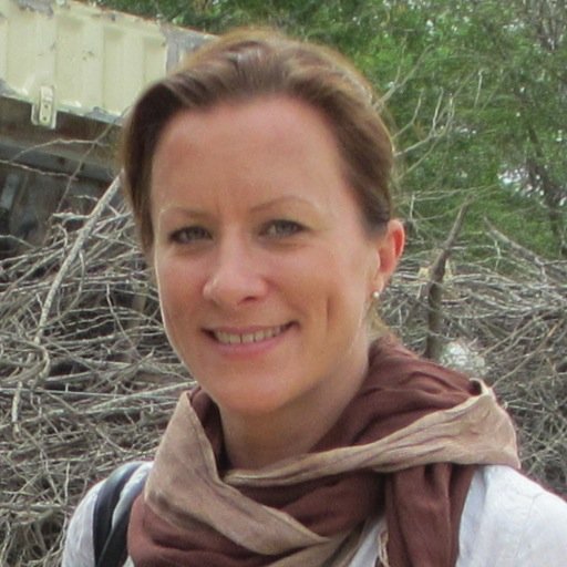 Board level comms, international engagement & risk/crisis advisor, journalist, & trainer