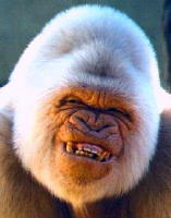 TCoBChuck's profile picture. Love to Love