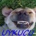 uykucu can (@uykucucantayfa) Twitter profile photo uykucu can (@uykucucantayfa) Twitter profile photo