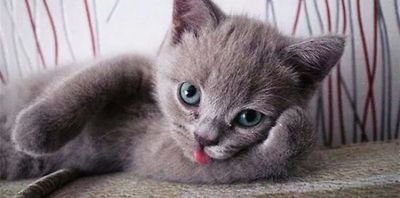 follow me and follow you back :3