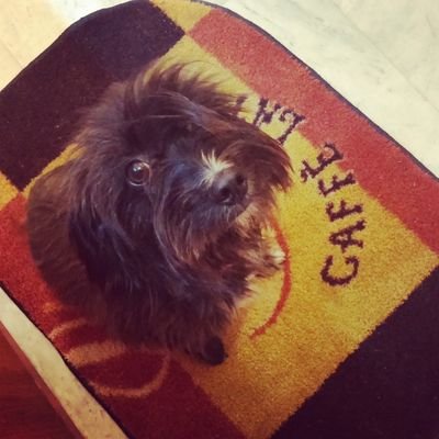 spindociratus's profile picture. #!$^%&@ σημαίνει σύνδρομο Στοκχόλμης...