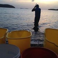 Paul C. Sikkel (@psikkel) 's Twitter Profile