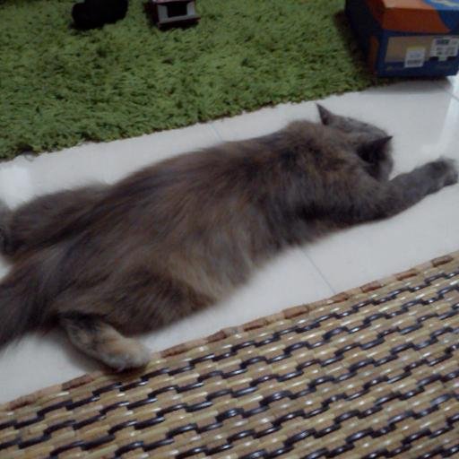 MaisarahFaridun's profile picture. Start everything with smile :-) Alhamdulillah~