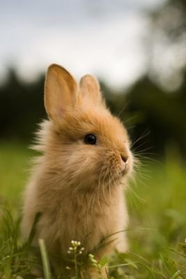 Why so curious???