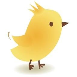 perry_editor's profile picture. 