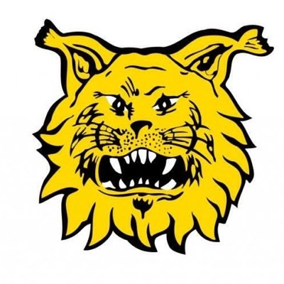 ilvesbtytot's profile picture. Ilveksen B-tyttöjen virallinen Twitter-tili. Seuraa tyttöjemme taivalta jalkapallon parissa kentällä ja sen ulkopuolella!