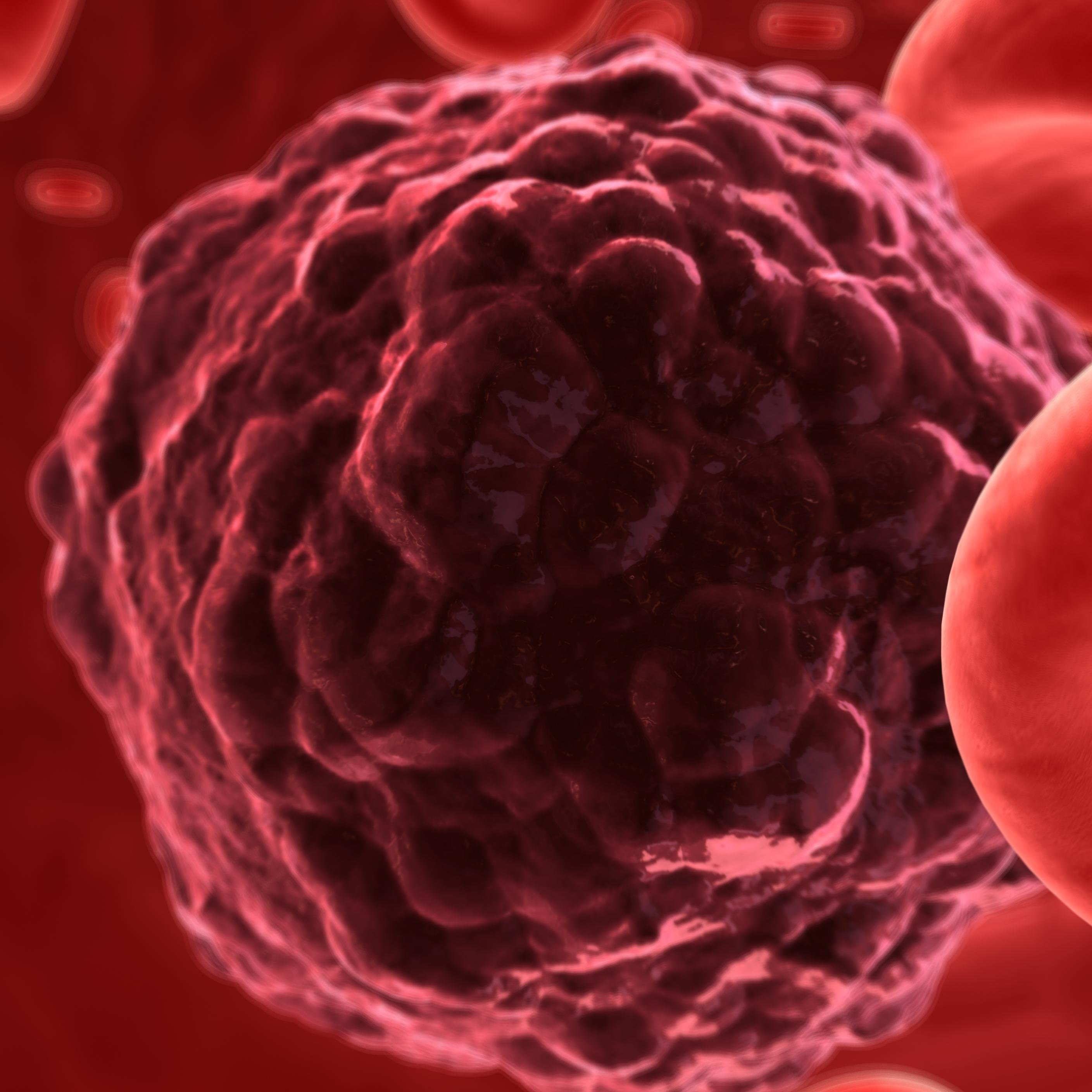 bajanhope's profile picture. Hope Foundation Barbados, the center for Lupus , Sickle Cell and Arthritis.