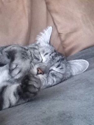 denemeadresix Profile Picture