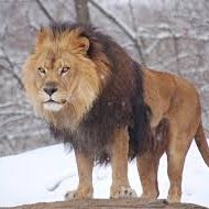 Hi im brian from england and i like wam and sexy ladys im new too twitter and dont get it yet so sorry if i do things wrong i hope too talk too you soon