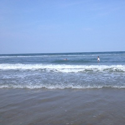 BOGGLE1698's profile picture. 