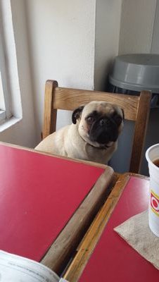 lupitaleonr's profile picture. 