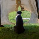 Elliot Henry Bouvier - @ElliottheBouv - Twitter