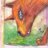 Ambukkazoo's profile image