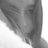 anebo9's profile image