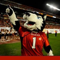 Doing what I do best; BARKING up the 'right' ... tweet. HOWLING about my love of NIU. unLEASHing a FURRY of activity as it pertains to NIU Huskie PRIDE.