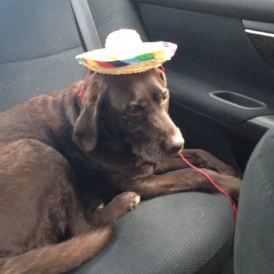 danwinman's profile picture. 