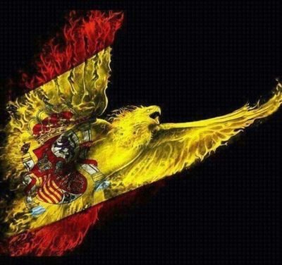 20.Una CRISTIANA Y ESPAÑOLA orgullosa de serlo, Æ. Sin duda la unión hace la fuerza.