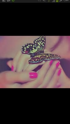 آلقلوبَ آلجميلہّ و آلنيہّ آلطيبہ
همَآ سِر جمَآل هذِه آلحَيآة ..♡